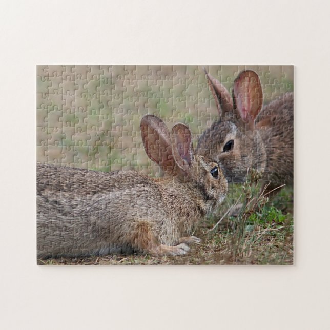 Puzzle Lapins de lapin sauvages (Horizontal)