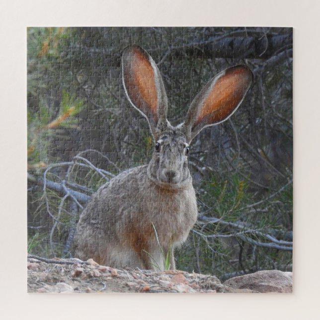 Puzzle Lapins, faune, casse-tête avec boîte cadeau, casse (Vertical)