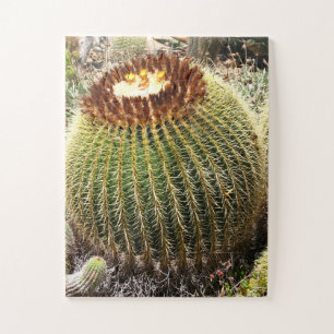 Puzzle Large Round Prickly Cactus