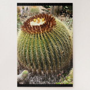Puzzle Large Round Prickly Cactus