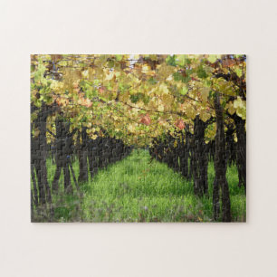 Puzzle L'Argentine, Mendoza, rangée de raisin dans le