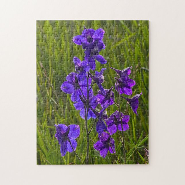 Puzzle Larkspur pourpre en soirée (Vertical)