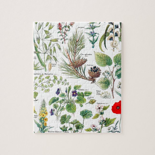 Puzzle Larousse plante des calmantes, emollientes, (Vertical)