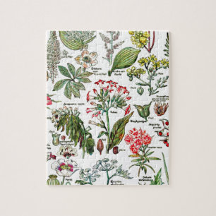 Puzzle Larousse Plantes, Fruits, Jardin Fleur Nature Art