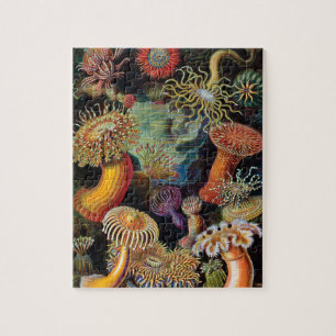Puzzle L'art de la nature par Ernst Haeckel