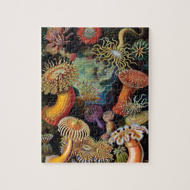 Puzzle L'art de la nature par Ernst Haeckel (Vertical)