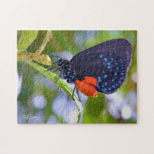 Puzzle L'Atala