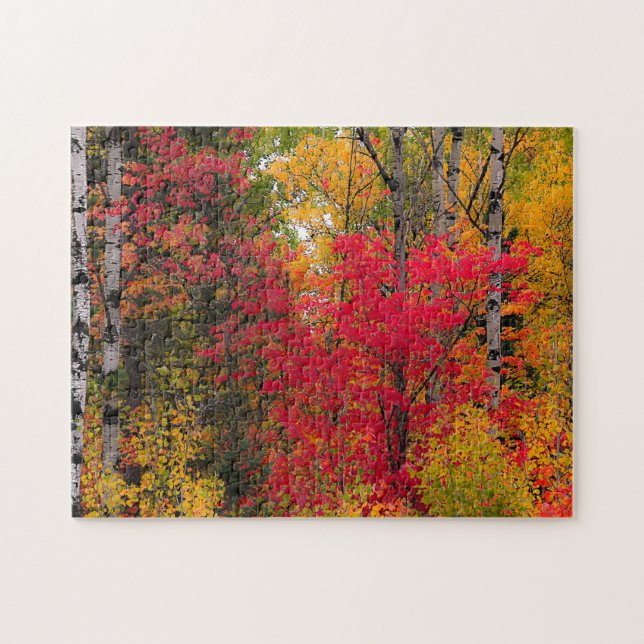 Puzzle L'automne au Canada. (Horizontal)