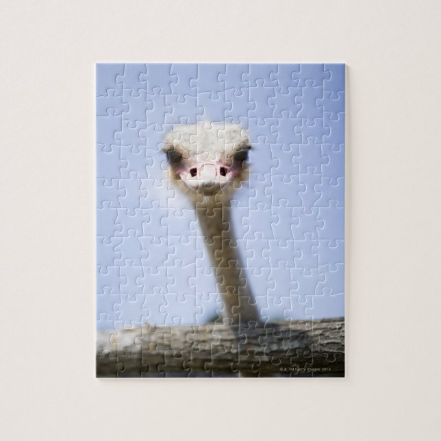 Puzzle L'autruche parlent (Vertical)