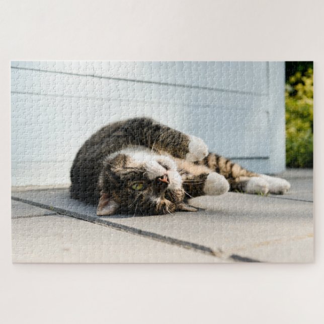 Puzzle Lazy Cat Lounge sur Porch (Horizontal)