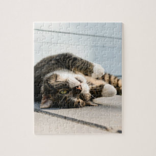 Puzzle Lazy Cat Lounge sur Porch