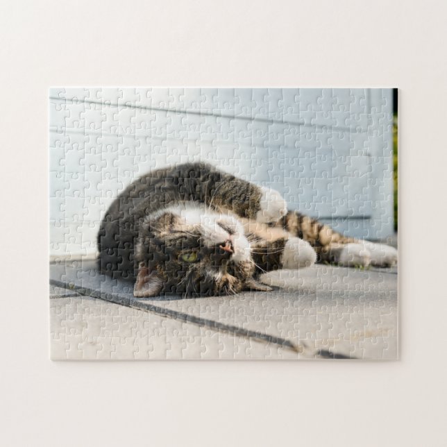 Puzzle Lazy Cat Lounge sur Porch (Horizontal)