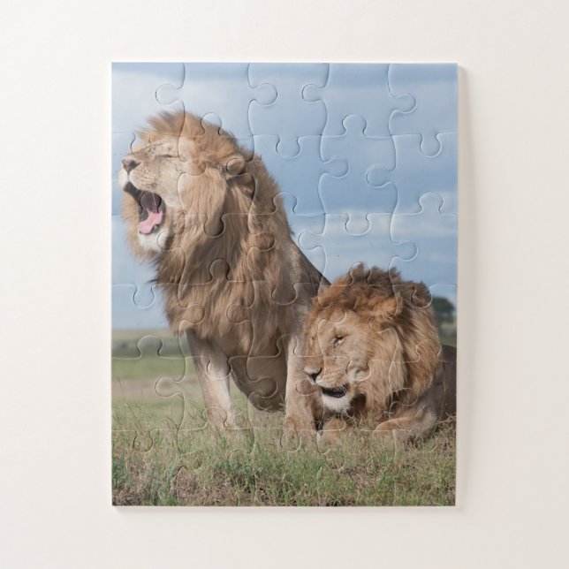 Puzzle Lazy Lion Brothers sur la Savannah (Vertical)