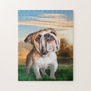 Puzzle Le Bulldog