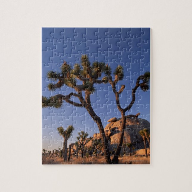 Puzzle Le cactus et le casquette de Cholla basculent, (Vertical)