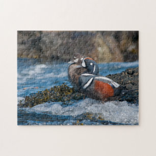 Puzzle Le Canard arlequin en surf océanique