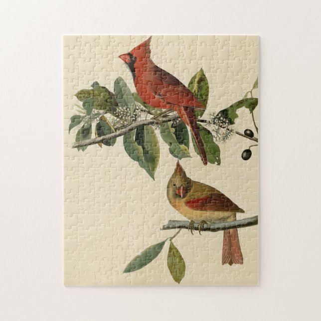 Puzzle Le cardinal Grosbeak de Audubon's Birds of America (Vertical)