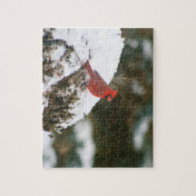 Le cardinal perché sur un Bush neigeux