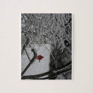 Puzzle Le cardinal se repose dans la neige
