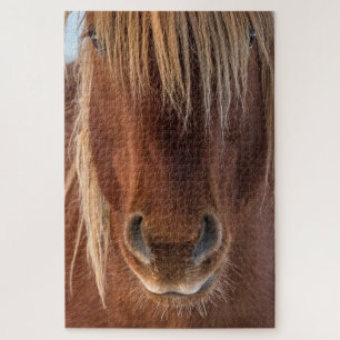 Puzzle Le casse-tête des "Whiskers"