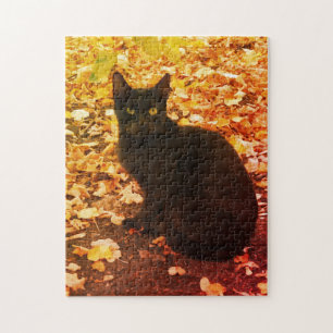 Puzzle Le chat noir Aurtumn laisse la photo