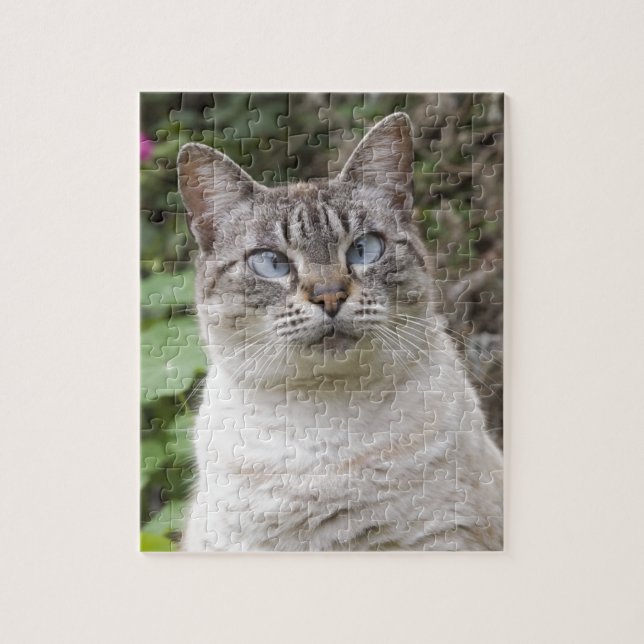 Puzzle Le chat observé par croix (Vertical)