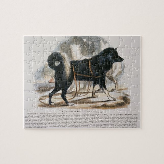 Puzzle Le chien d'Esquimaux (familiaris de Canis) I (Horizontal)