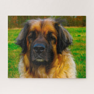 Puzzle Le Chien Leonberger Élevait Jigsaw.