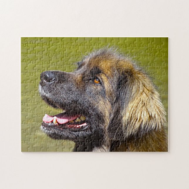 Puzzle Le Chien Leonberger Élevait Jigsaw. (Horizontal)