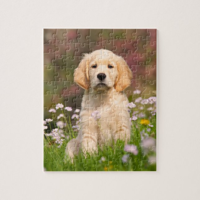 Puzzle Le chiot Golden Retriever et le joli Goldie (Vertical)