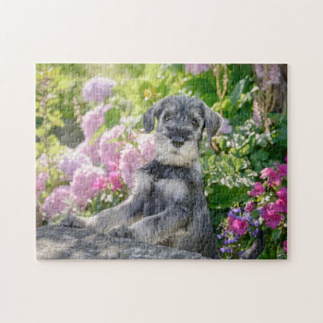 Puzzle Le chiot Schnauzer dans un jardin fleuri (Horizontal)