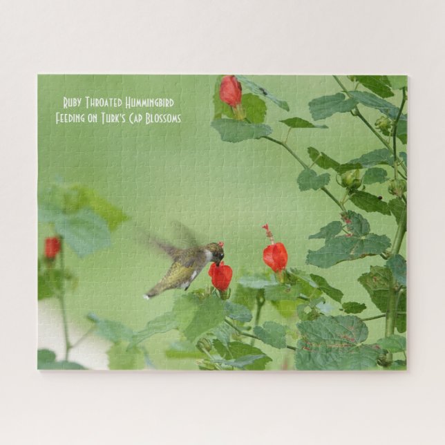 Puzzle Le colibri Ruby Throated, l'amant des oiseaux Jigs (Horizontal)