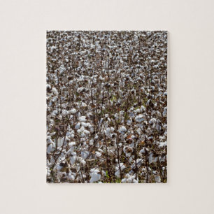 Puzzle Le coton cultive le champ