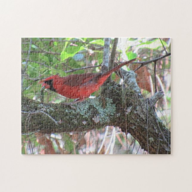Puzzle Le déjeuner du Cardinal - Jardin Bird (Horizontal)