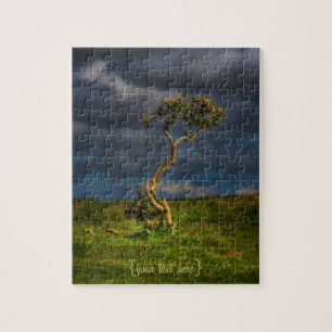 Puzzle Le dernier survivant