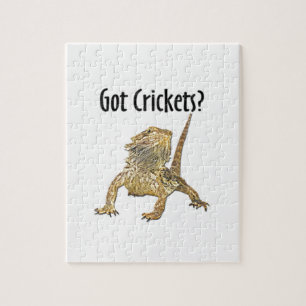 Puzzle Le dragon barbu a obtenu des crickets