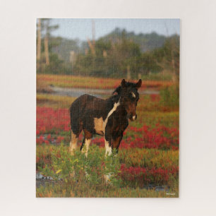 Puzzle Le Foal De Chincoteague En Fleurs Rouges