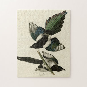 Puzzle Le gâteau américain des oiseaux d'Amérique d'Audub
