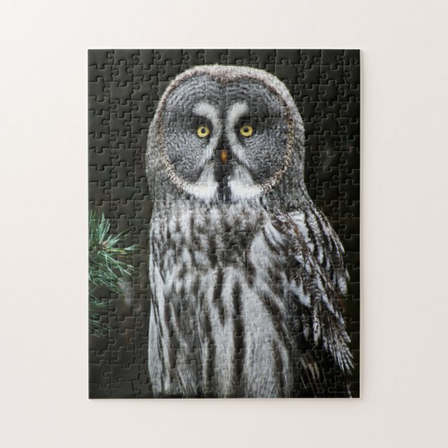Puzzle Le grand hibou gris 11x14 252pc jpcnm (Vertical)