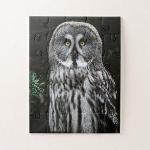 Puzzle Le grand hibou gris 11x14 30pc jpcna