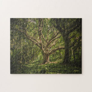 Puzzle Le grand vieux arbre dans la forêt