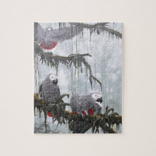 Puzzle Le gris africain Parrots voler librement