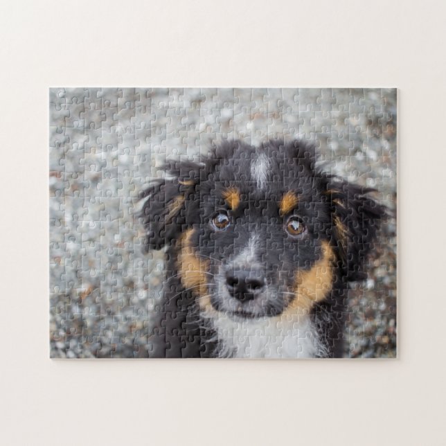 Puzzle Le joli portrait de chiot australien (Horizontal)