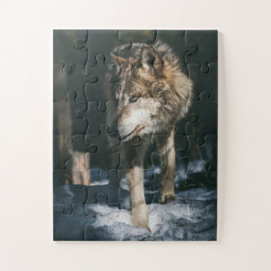 Puzzle Le loup dans l'animal sauvage