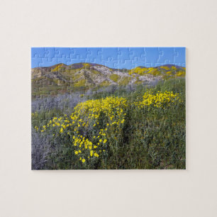 Puzzle Le monument national de Carrizo Plain