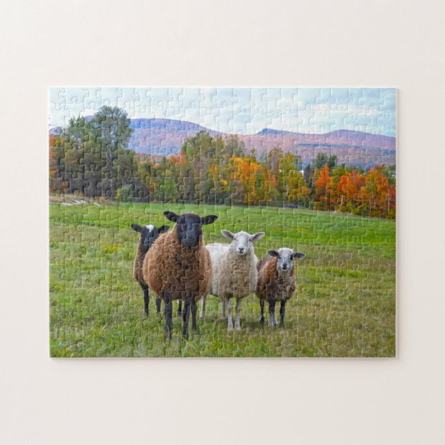 Puzzle Le mouton du Vermont en automne (Horizontal)