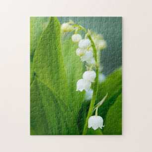 Puzzle Le muguet
