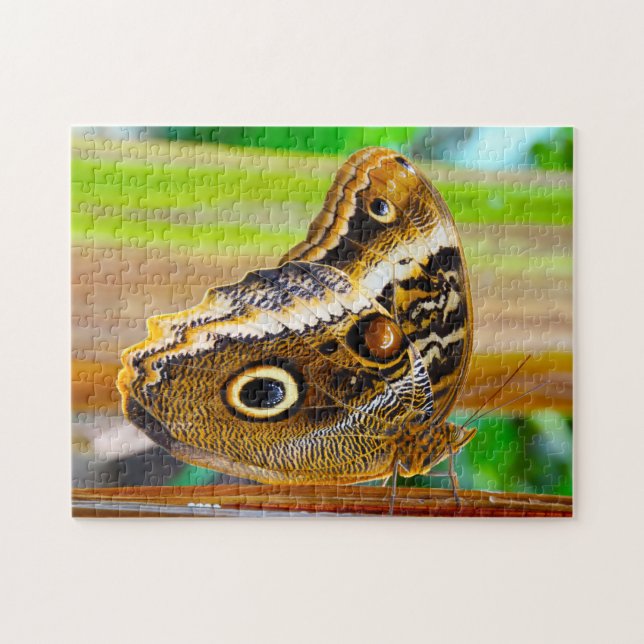 Puzzle Le papillon des hibou. (Horizontal)