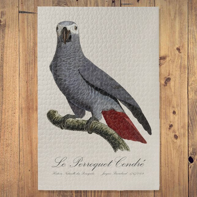 Puzzle Le Perroquet Cendre - illustration du 19e siècle  (Le Perroquet Cendre - 19th century illustration. Jigsaw Puzzle)