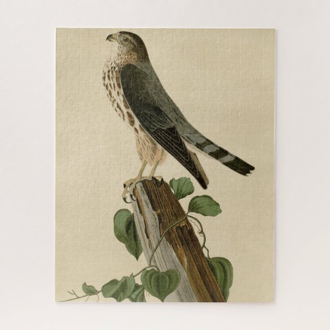 Puzzle Le Petit Caporal (Merlin) Audubon Birds of America (Vertical)